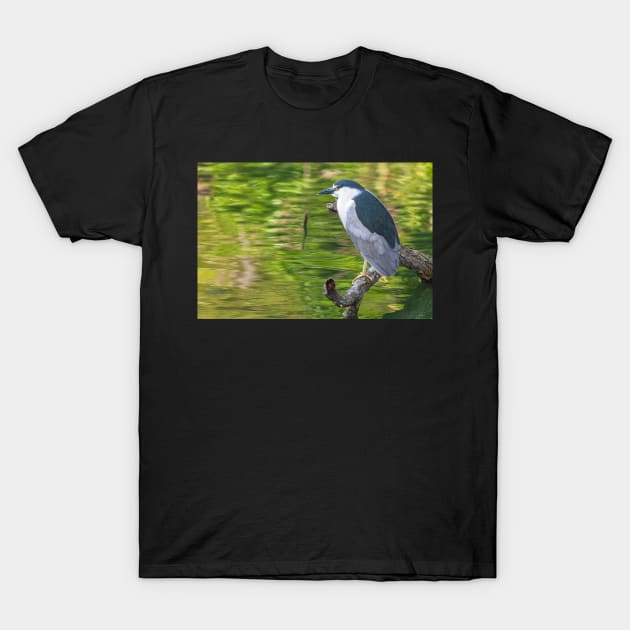 Night Heron with green backgrop T-Shirt by jvnimages